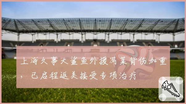 上海久事大鲨鱼外援冯莱背伤加重,已启程返美接受专项治疗